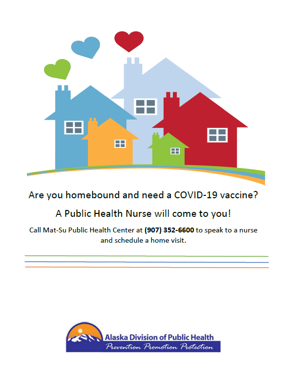 Vaccines at home flyer