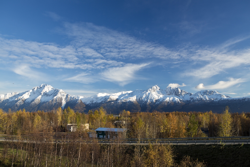 A picture of Mat-Su and Pioneer Peaks with an autumn foreground.